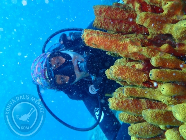 11-12 Eylül Bodrum