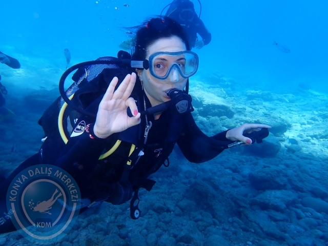 11-12 Eylül Bodrum