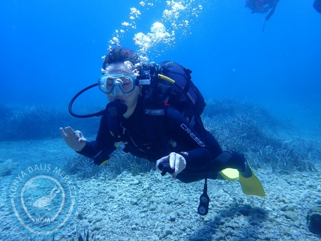 11-12 Eylül Bodrum