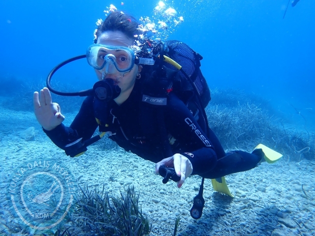 11-12 Eylül Bodrum