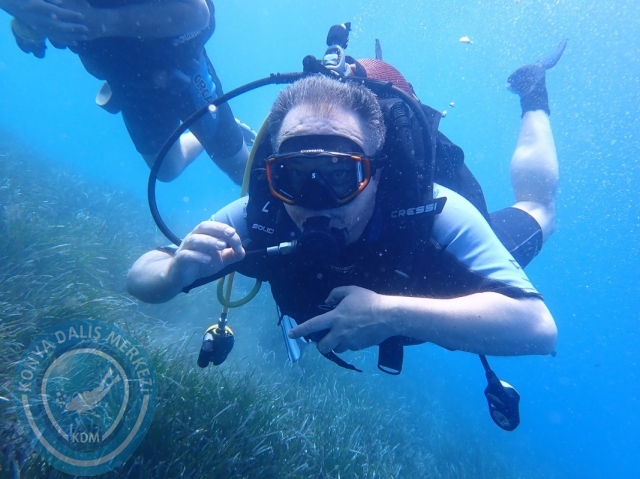 11-12 Haziran Alanya