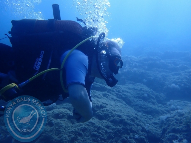 11-12 Haziran Alanya