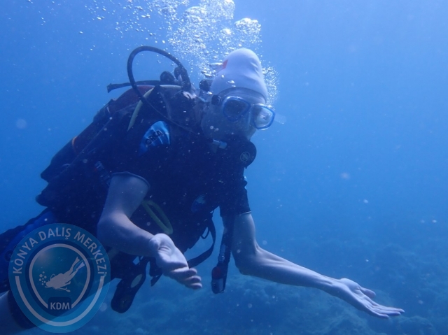 11-12 Haziran Alanya