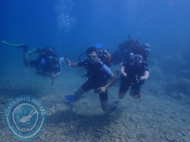 11-12 Haziran Alanya