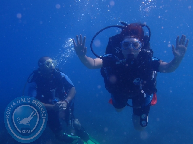 11-12 Haziran Alanya