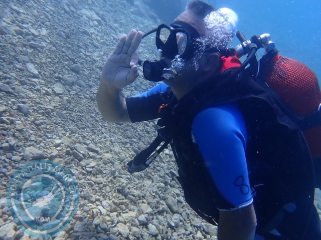 11-12 Haziran Alanya