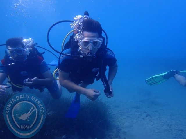 11-12 Haziran Alanya