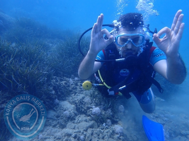 11-12 Haziran Alanya