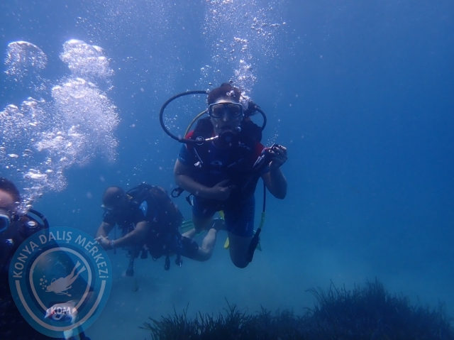 11-12 Haziran Alanya