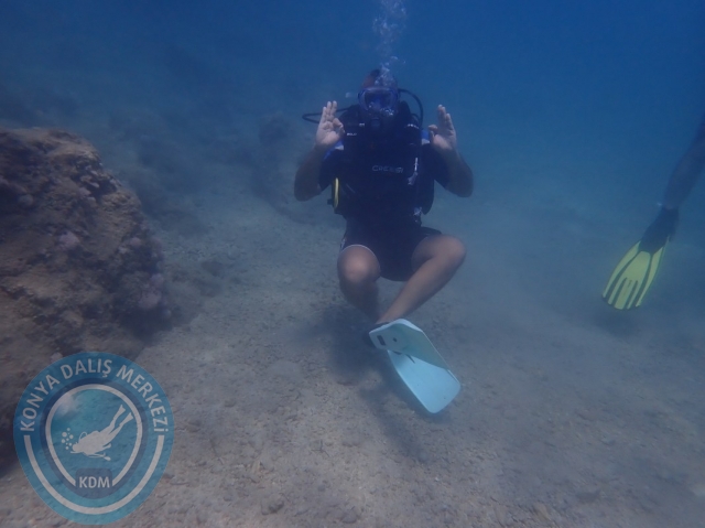 11-12 Haziran Alanya