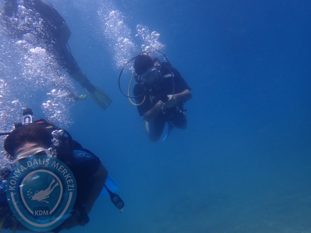 11-12 Haziran Alanya