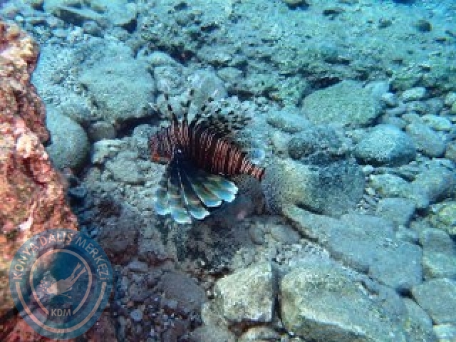 12-1 Eylül Fethiye 