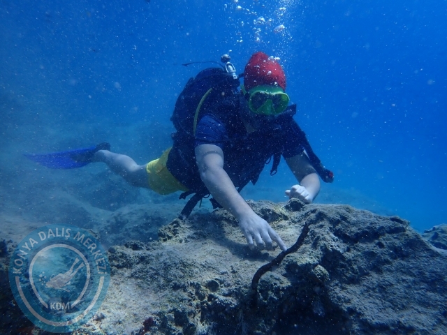 12-13 Ağustos Kaş