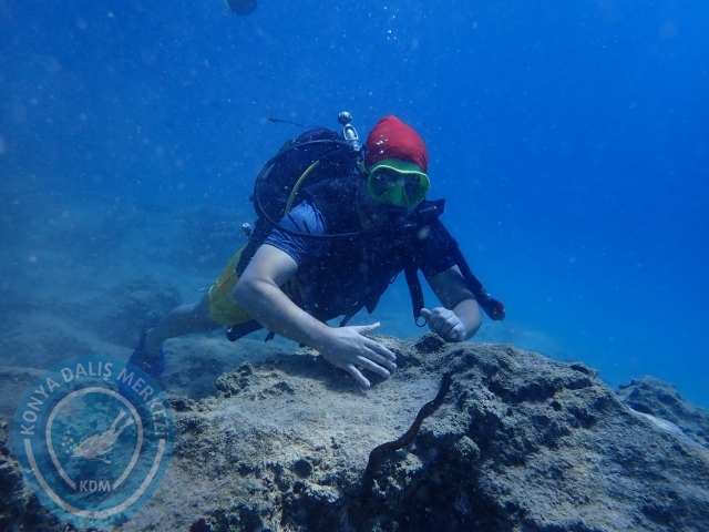 12-13 Ağustos Kaş