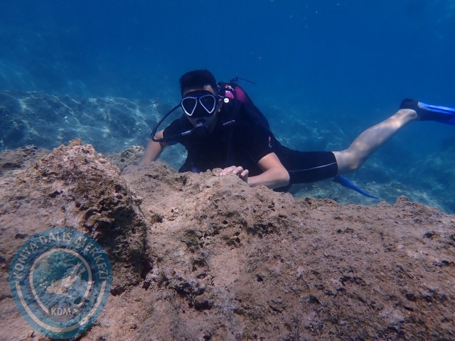 12-13 Ağustos Kaş