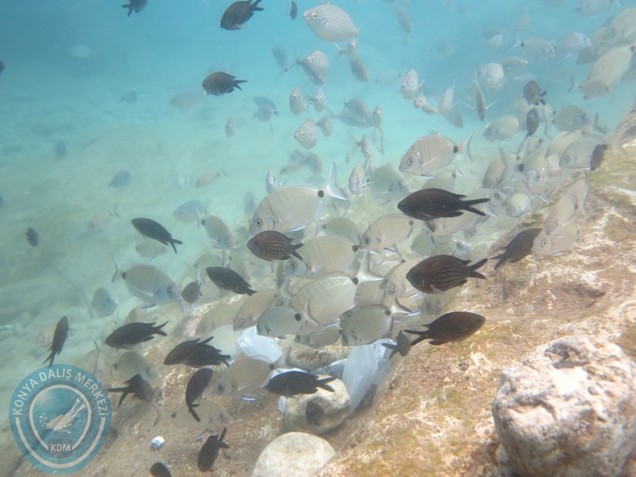 12-13 Mayıs Kemer