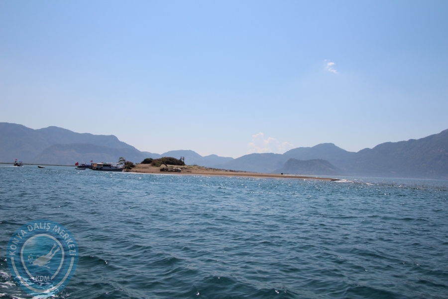 13-14 Haziran Dalyan Suüstü