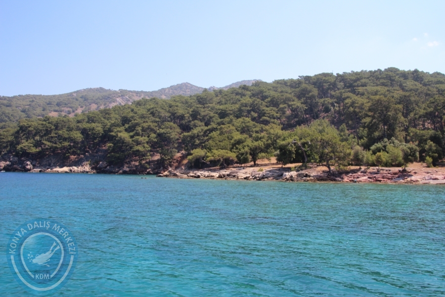 13-14 Haziran Dalyan Suüstü