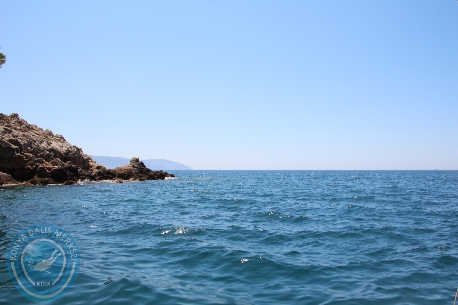 13-14 Haziran Dalyan Suüstü