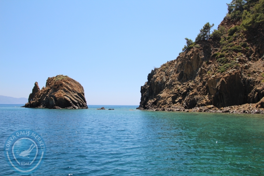 13-14 Haziran Dalyan Suüstü