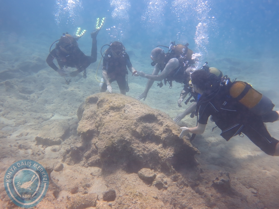 13-14 Haziran Dalyan Sualtı