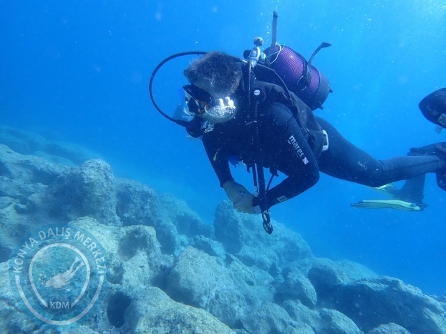 13-14 Kasım Kaş