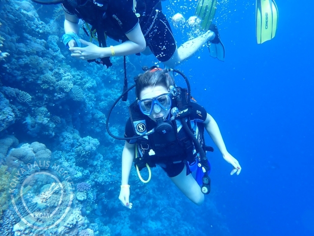 13-18 Mayıs Sharm