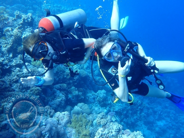 13-18 Mayıs Sharm