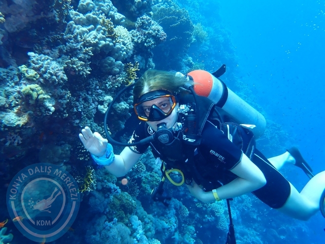 13-18 Mayıs Sharm