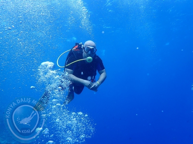 13-18 Mayıs Sharm