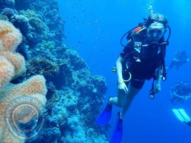 13-18 Mayıs Sharm