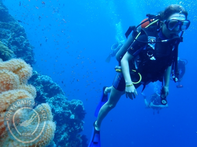 13-18 Mayıs Sharm