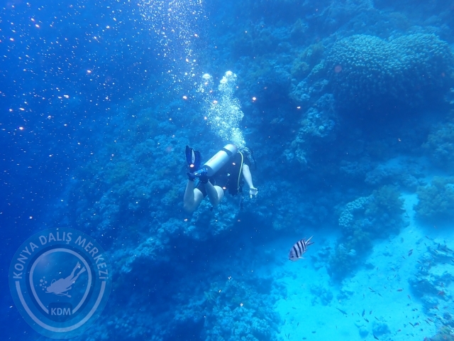 13-18 Mayıs Sharm