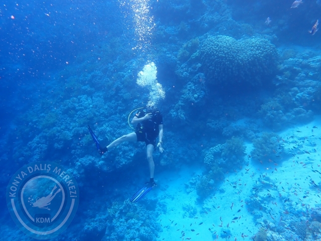 13-18 Mayıs Sharm