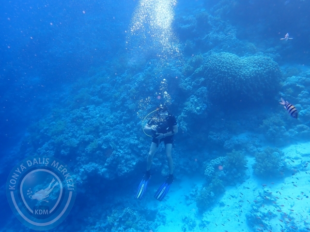 13-18 Mayıs Sharm