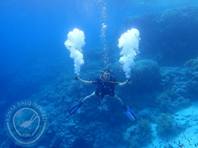 13-18 Mayıs Sharm