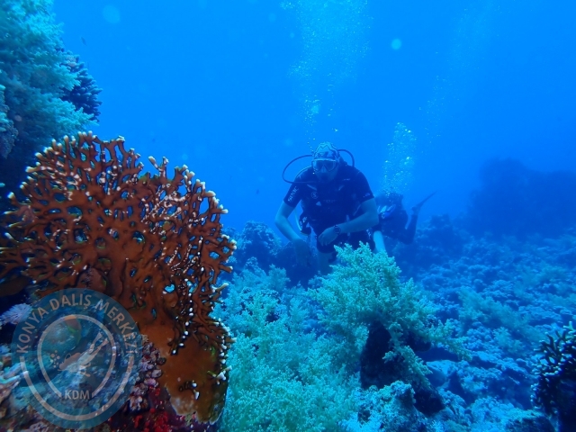 13-18 Mayıs Sharm
