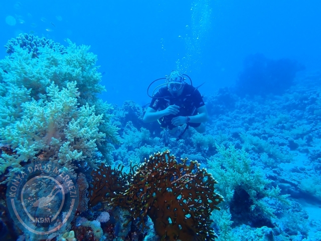 13-18 Mayıs Sharm