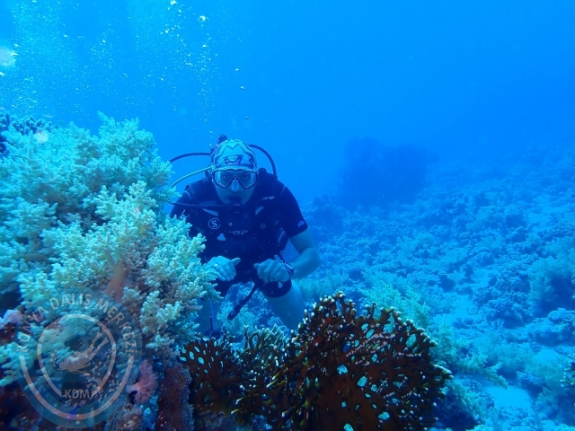 13-18 Mayıs Sharm