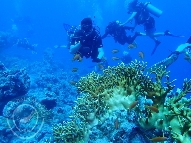 13-18 Mayıs Sharm