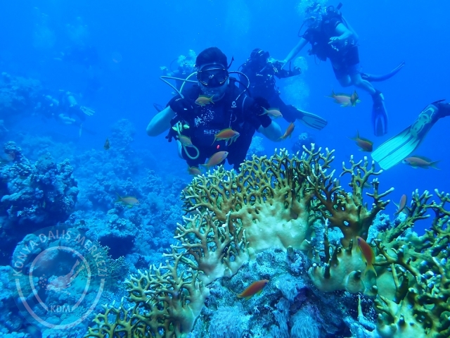 13-18 Mayıs Sharm