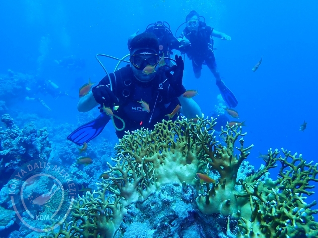 13-18 Mayıs Sharm