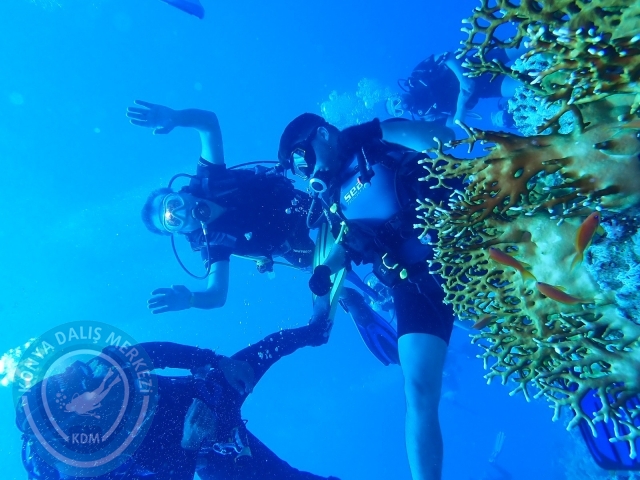 13-18 Mayıs Sharm