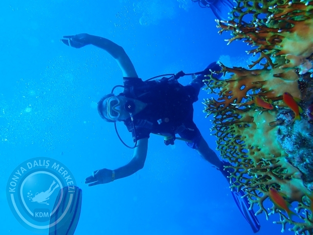 13-18 Mayıs Sharm