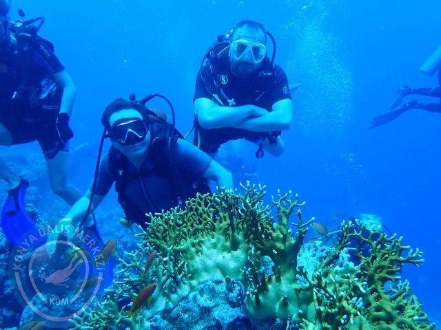 13-18 Mayıs Sharm