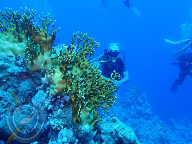 13-18 Mayıs Sharm