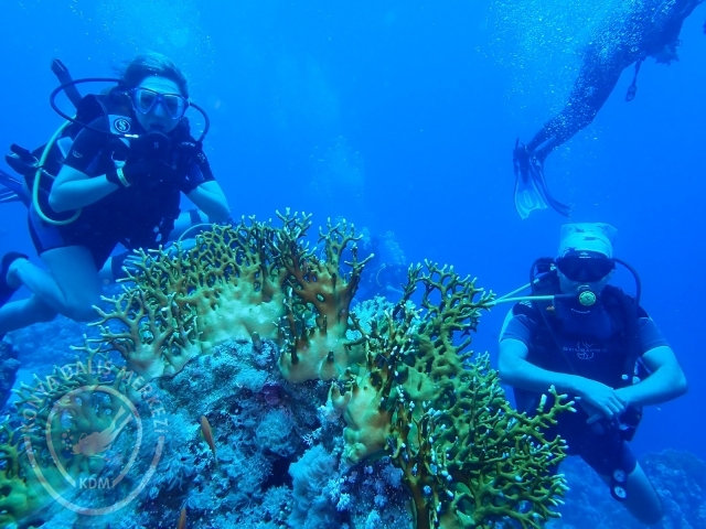 13-18 Mayıs Sharm