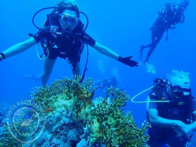 13-18 Mayıs Sharm
