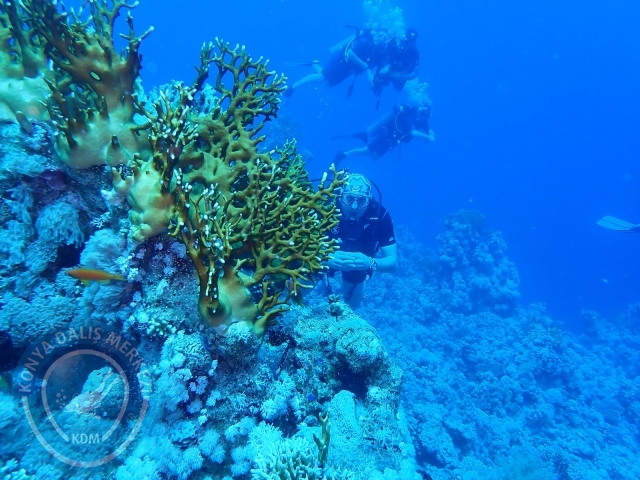 13-18 Mayıs Sharm