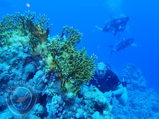 13-18 Mayıs Sharm